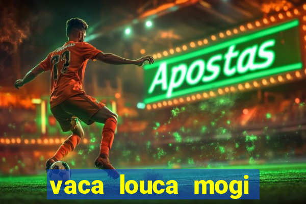 vaca louca mogi das cruzes
